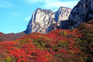 2025.10.25【乐平户外】亲子徒步线：柏峪沟穿越少林寺景区一天8公里休闲徒步 赏红叶