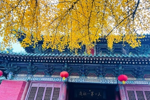 2025.10.29【乐平户外】嵩山达摩洞--五花坪--少林寺一天10公里徒步穿越 赏红叶