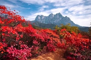 2025.11.2【乐平户外】南太行经典线路：西天大顶~鱼鳞石~崖上徒步穿越宝泉村一天休闲徒步观云海 赏红叶 