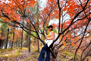 2025.11.1【乐平户外】亲子徒步线：柏峪沟穿越少林寺景区一天7公里休闲徒步赏千年银杏 邂逅中原最美红叶林