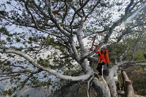 2025.12.3【乐平户外】南太行临川寺-铁环兽道-紫金顶-龙脊长城-神女峡16公里徒步穿越