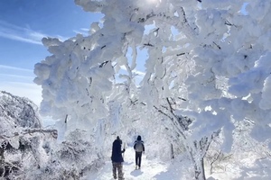 2026.1.24【乐平户外】“冰雪盛宴” 踏雪嵩山--嵩顶草甸，赏雾凇奇观