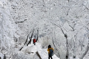 2026.1.25【乐平户外】“冰雪盛宴” 踏雪嵩山--嵩顶草甸，赏雾凇奇观