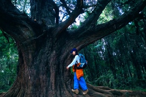 2026.4.4-6【清明假期】徒步古蜀道、对话翠云廊｜踏金牛古道，登剑门雄关｜赴一场三千年蜀道的徒步之约