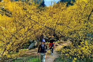 2026.3.12【乐平户外】经典徒步线--伏牛山--嵩县白鹰河一天8公里徒步 踏青 赏花 挖野菜