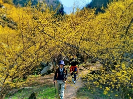 2026.3.15【乐平户外】经典徒步线--伏牛山--嵩县白鹰河一天8公里徒步 踏青 赏花 挖野菜