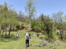 2026.3.22【乐平户外】休闲徒步线：熊耳山世外桃源--秦梁沟--洛寺窑一天8公里徒步 踏青 赏花 挖野菜