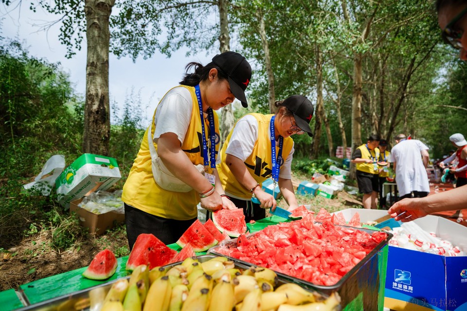 志愿者服务 (13)