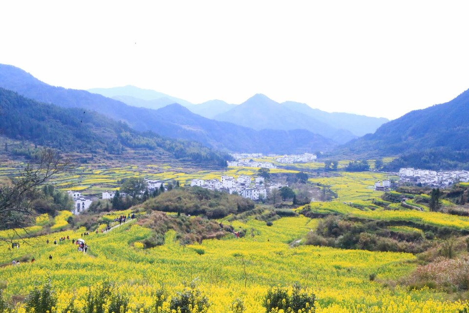 OSvdxF4872kbsm7-iouifsZgQlntMzd3Gfic5MkCheLIOsr9OSLUy0ALsKhUp8pO