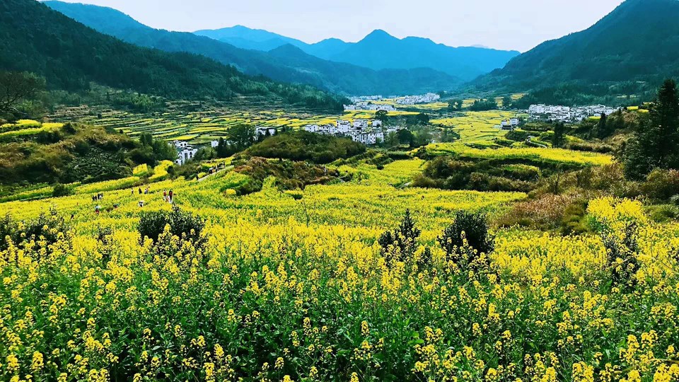 CtGFuV6ihMyFLsbjyFkhhnUmIehe1SbEf4GWXy77T6FNeNv8SNu7wIRdduDuYlO-