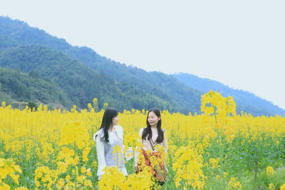 6RBdQlfHBXLph4C6bsJ2fYQTYcywZzF7rhPHHe1GCVA6vhRtbCPY4SgZYrdjrwEo