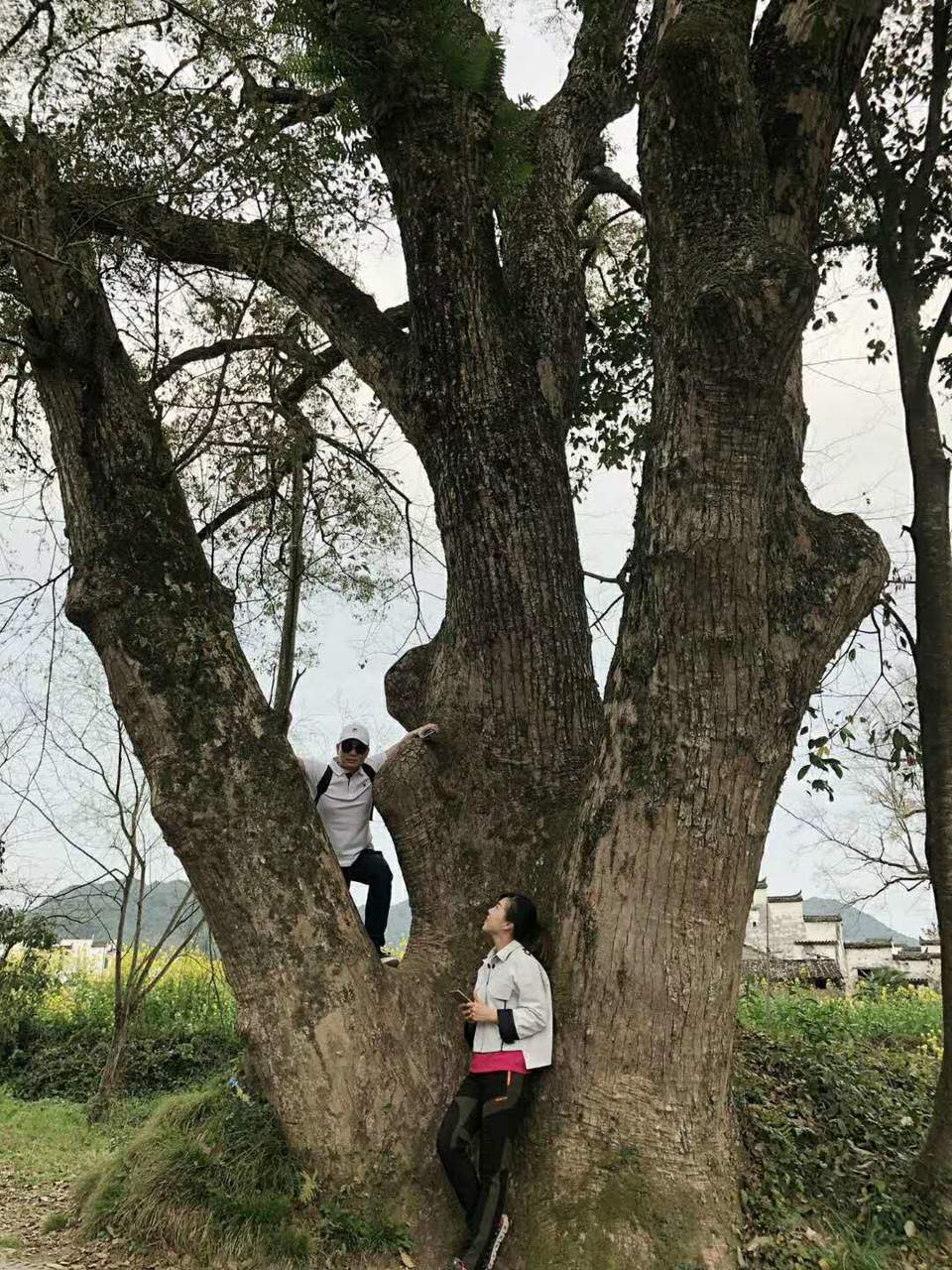 IKEdrvmfpsBmB0YZumO_1yiZ9elfYgx40ndKQREIUFp0wAeZjtnNQHynTtINtu_j