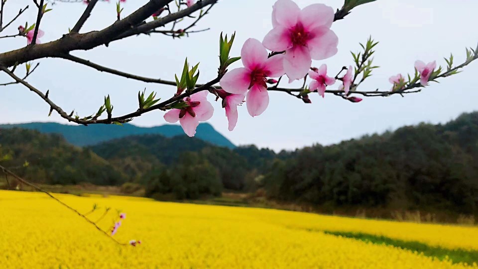 uJCPbVN5sWINk06IvxQaIdeSCrbxAm37vr0B6fnxxVql_fSZVl_hT4l_SxXYPLz9