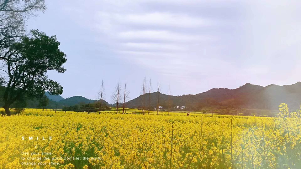 cJoCPEytBV_gC0NGB6cucVkRrQHwSjiFyJeqG-v-m4-quqhKCfT_9fZmK_6YCecr