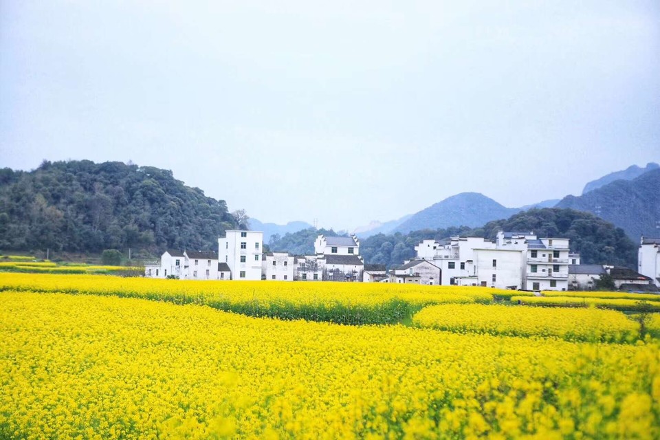 GVnYSlU13RZopYrL5EDAdp1K0fDhq_Zlt0pvulyCo_KS0zh6riFh0OET0-fIUFAQ