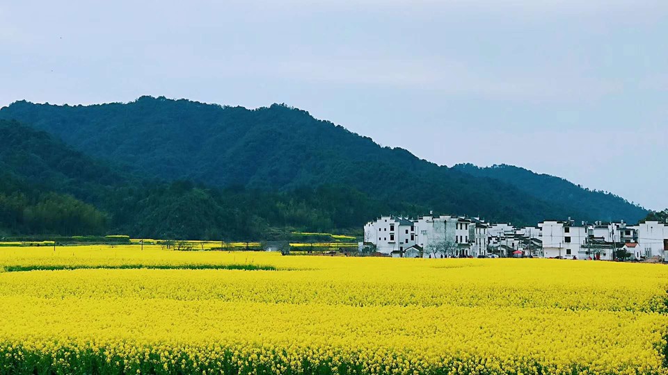 1I7AM_nWk-cWe8mjCTFRzxHl-63-SGuiaOB9AJd87qTVHoxQxYRAY0iKgbeubTYT