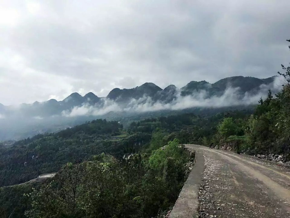 微信图片_20170709194909