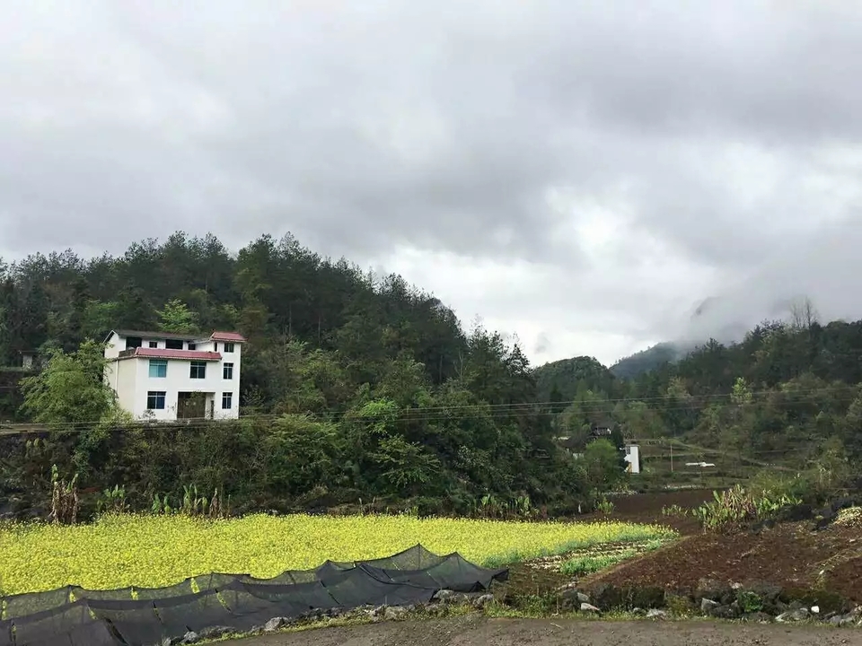 微信图片_20170709194913