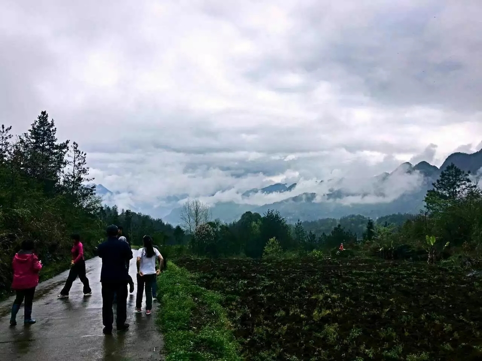 微信图片_20170709194917