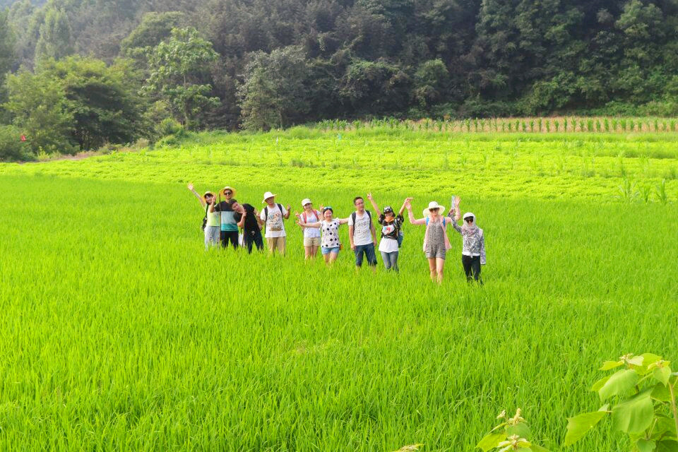 QQ图片20170512173629