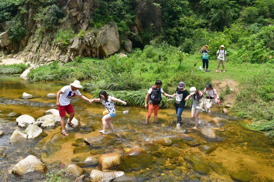 QQ图片20170512173721