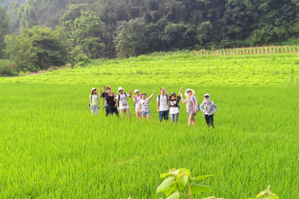 QQ图片20170512174019