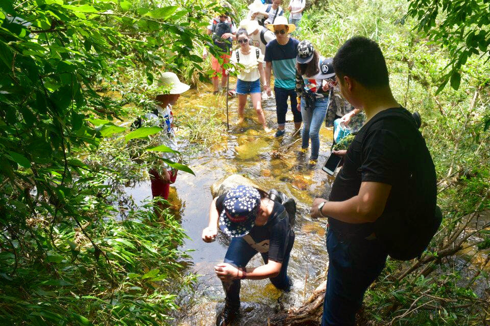 QQ图片20170512174139