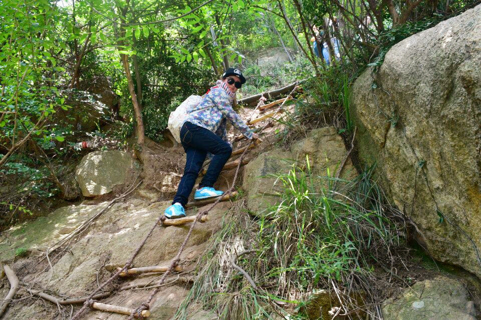 QQ图片20170512174216