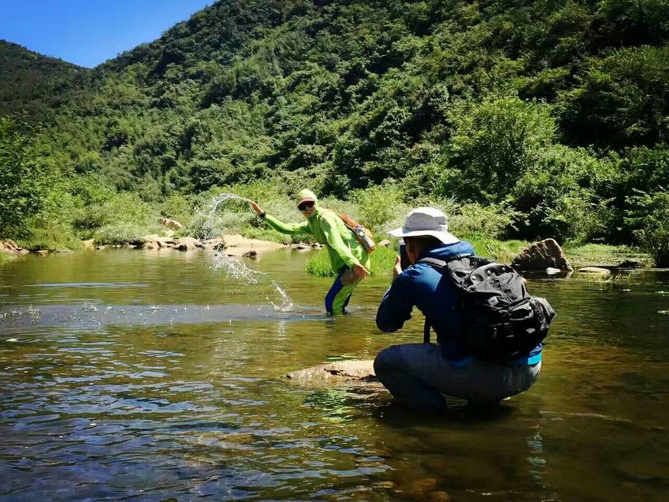 九女谭mmexport1494584111562