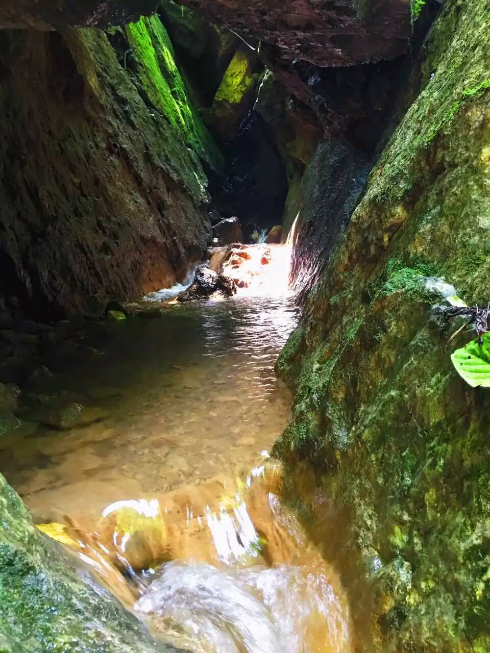 毛铺大峡谷mmexport1494587979460_副本