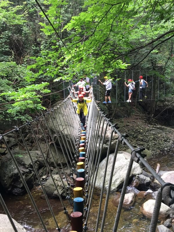 微信图片_20170626114021