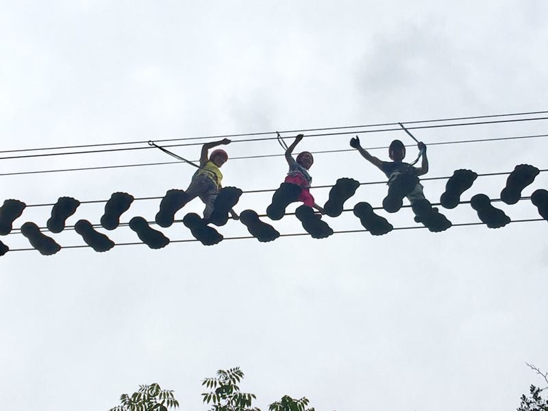 微信图片_20170626114202