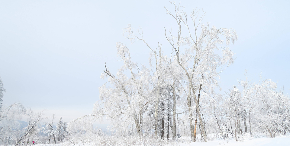 img-8d3945d59268104150e5a47af85a34b1_mh1479740352940