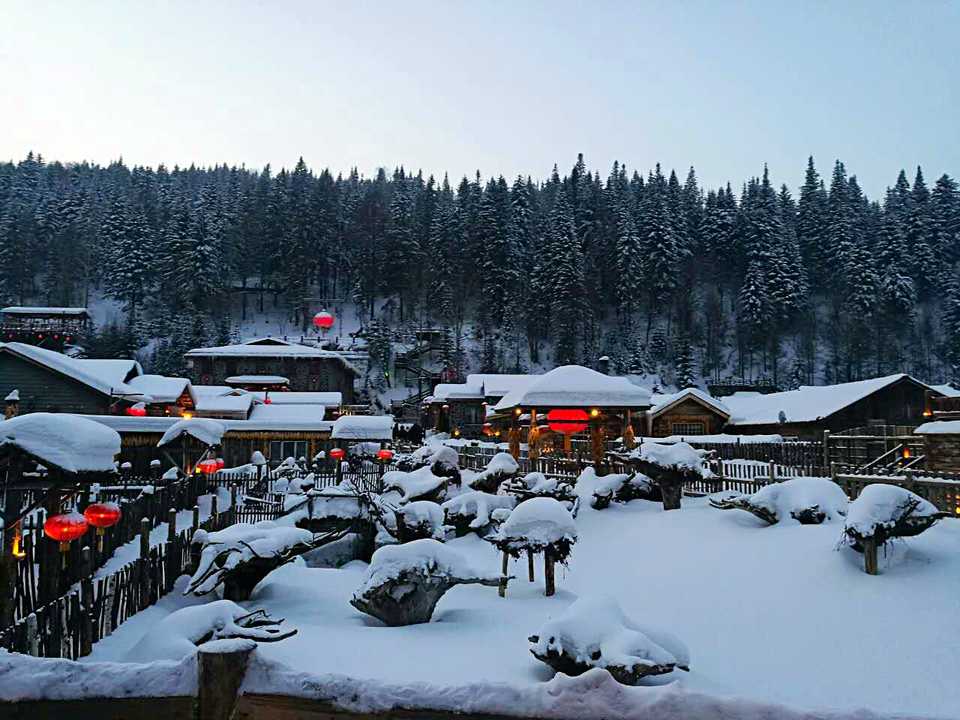 mmexport1479738693794_mh1479738953508