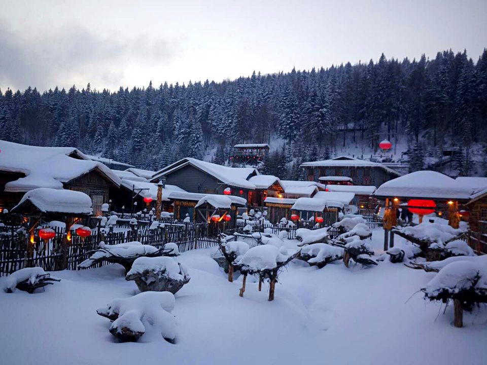 mmexport1479738695872_mh1479738936525