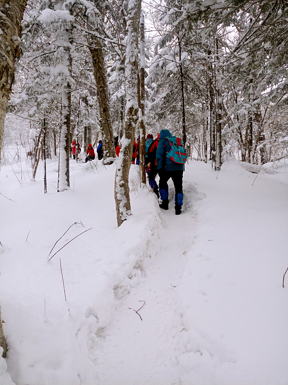 P61121-100919_mh1479740552331