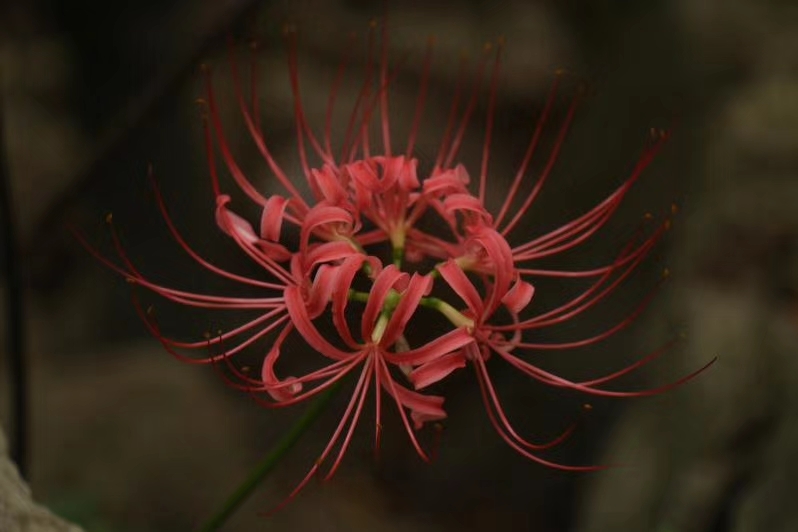 微信图片_20180305211724