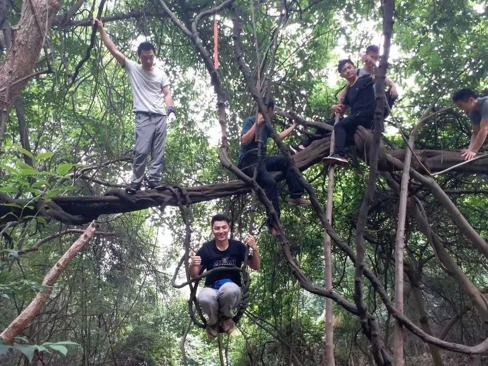 微信图片_20180305211736