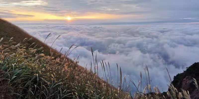 微信图片_201810111402313