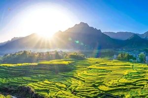 【清明4.4-6】新驴磨蹄，徒步中国十大古道之徽杭古道，重走徽商之路| 行摄家朋油菜花海