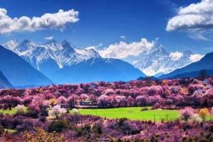【川藏桃花节】3月/4月  一生一次318深度行摄10日深度游