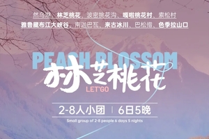 【林芝桃花】私享2-8人小团6日