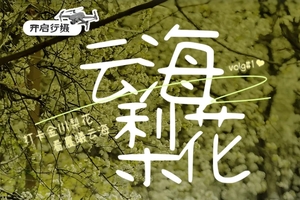 【川西云海梨花】2-8人小团6日-毕棚沟+四姑娘山+金川梨花+牛背山