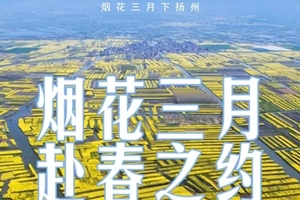 【江南有约武汉起止】3.27-31日去寻觅中国最美的春天5日之旅（乌镇-苏州-扬州-无锡-泰州-南京）