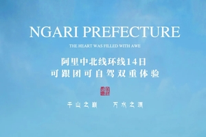 2025阿里中北线14天13晚之旅
