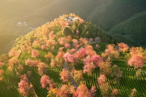 【新线首发•小众旅行•天境怒江】12月13-23日独龙江归来 丙中洛 秋那桶 雾里村 寻找与世隔绝的纹面女双飞11日