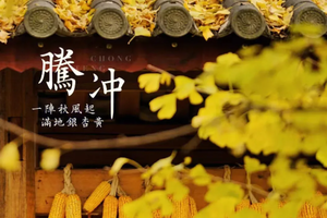 【魅力腾冲•国境线】11月22日/12月1日两期：温泉热海，童话银杏村，最不“芒”边境小城9日游