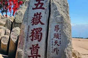 【济南+泰山赏秋】11月1-5日济南枫叶如火  登顶泰山览山河 ，这条金秋线路堪称完美5日行