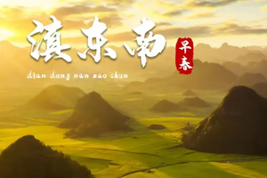 【春节•多彩云南】2月15-23日彩色大地，抚仙湖、建水古城、元阳梯田、普者黑，罗平油菜花、万峰林，龙宫9日