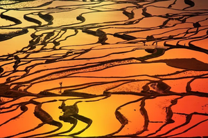 【行摄·滇东南】3月7日-15日彩色大地，抚仙湖、建水、元阳梯田、碧色寨、普者黑，坝美，罗平，弥勒双飞9日行